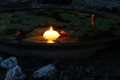 Plovoucí svíčka do jezírka bílá