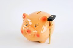 Pokladnička prasátko