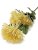 Kytice chryzantéma jehlicová